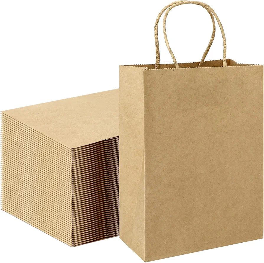 Paper bags (100 pieces)